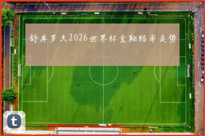 舒库罗夫2026世界杯金靴赔率走势