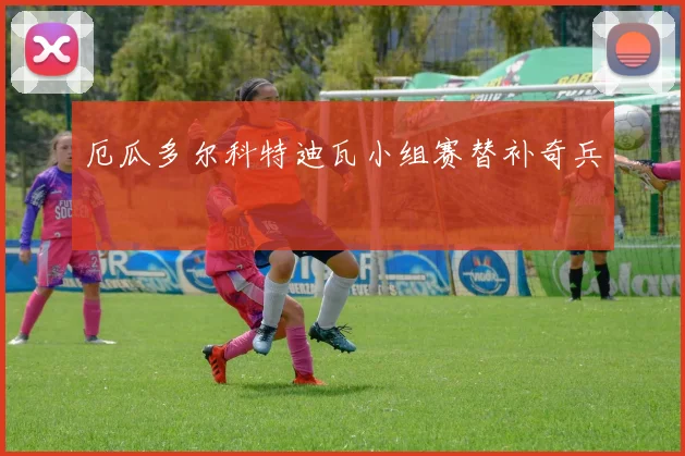 厄瓜多尔科特迪瓦小组赛替补奇兵