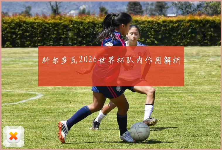 科尔多瓦2026世界杯队内作用解析