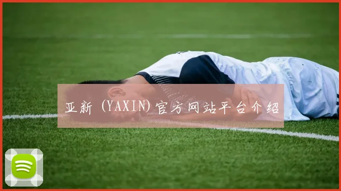 亚新 (YAXIN)官方网站平台介绍