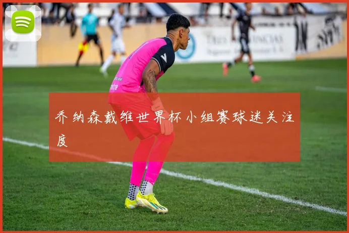 乔纳森戴维世界杯小组赛球迷关注度