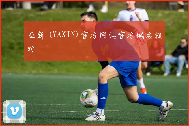 亚新 (YAXIN)官方网站官方域名核对