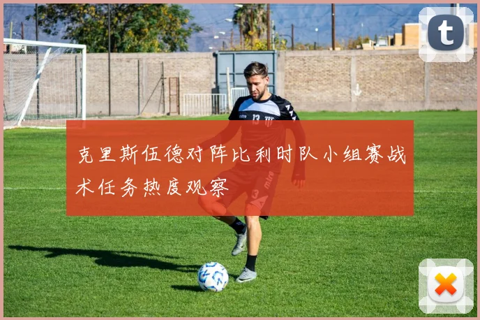 克里斯伍德对阵比利时队小组赛战术任务热度观察