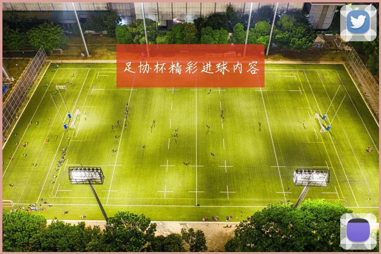 足协杯精彩进球内容