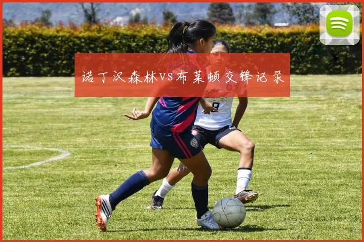 诺丁汉森林vs布莱顿交锋记录