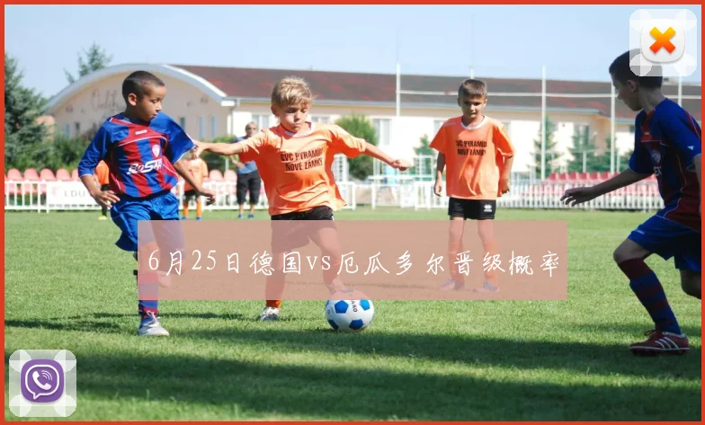 6月25日德国vs厄瓜多尔晋级概率